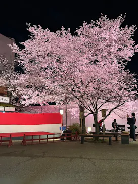 【嵐山から約15分！】太秦映画村に投稿された画像（2025/4/7）