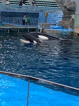 名古屋港水族館に投稿された画像（2025/4/7）