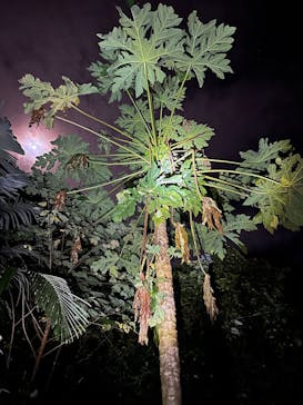 SUNSHINE MARIN 宮古島に投稿された画像（2025/4/7）