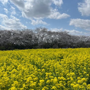 成田ゆめ牧場に投稿された画像（2025/4/7）