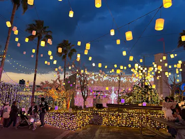 ひらかたパークに投稿された画像（2025/4/7）