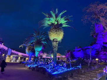 ひらかたパークに投稿された画像（2025/4/7）