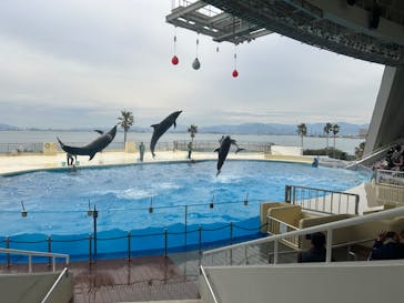 マリンワールド海の中道に投稿された画像（2025/4/7）