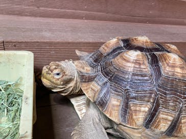 カワスイ 川崎⽔族館に投稿された画像（2025/4/7）