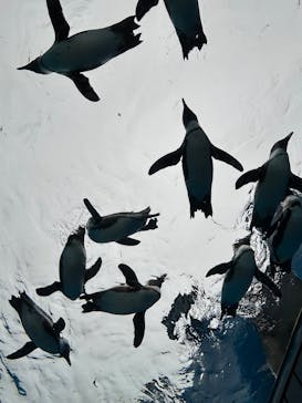 サンシャイン水族館に投稿された画像（2025/4/7）
