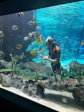 サンシャイン水族館に投稿された画像（2025/4/7）