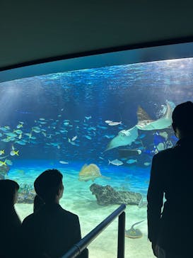 サンシャイン水族館に投稿された画像（2025/4/7）