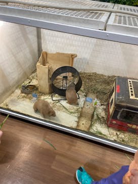 アニタッチみなとみらいに投稿された画像（2025/4/7）