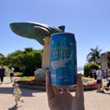 沖縄美ら海水族館に投稿された画像（2025/4/7）