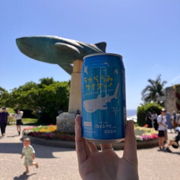 沖縄美ら海水族館に投稿された画像（2025/4/7）