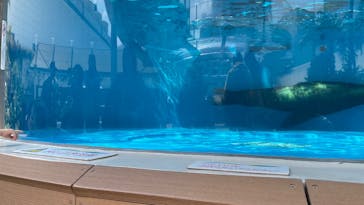 サンシャイン水族館に投稿された画像（2025/4/7）