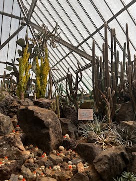 伊豆シャボテン動物公園に投稿された画像（2025/4/7）