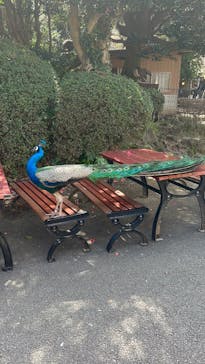 伊豆シャボテン動物公園に投稿された画像（2025/4/7）