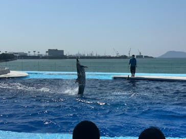 四国水族館に投稿された画像（2025/4/7）