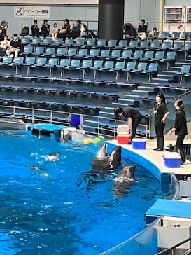 マクセル アクアパーク品川に投稿された画像（2025/4/7）