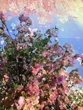 マクセル アクアパーク品川に投稿された画像（2025/4/7）