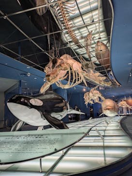 名古屋港水族館に投稿された画像（2025/4/7）