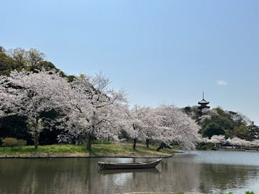 三溪園に投稿された画像（2025/4/7）