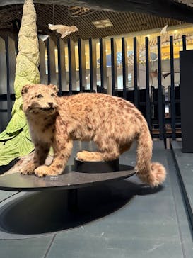 国立科学博物館に投稿された画像（2025/4/7）