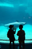 名古屋港水族館に投稿された画像（2025/4/7）