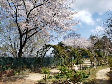 レオマリゾートに投稿された画像（2025/4/7）