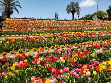 レオマリゾートに投稿された画像（2025/4/7）