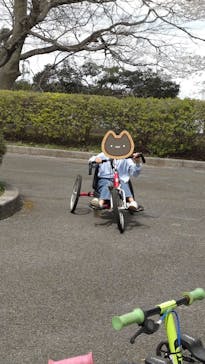 千葉こどもの国 キッズダムに投稿された画像（2025/4/7）