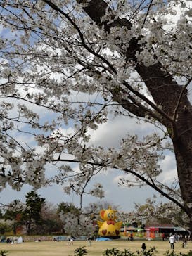 千葉こどもの国 キッズダムに投稿された画像（2025/4/7）