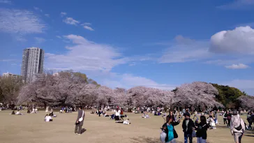 新宿御苑に投稿された画像（2025/4/7）