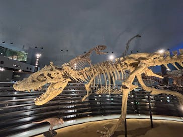 福井県立恐竜博物館に投稿された画像（2025/4/7）