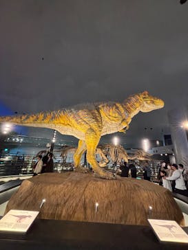 福井県立恐竜博物館に投稿された画像（2025/4/7）