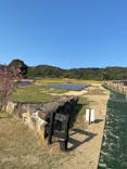 淡路ファームパーク イングランドの丘に投稿された画像（2025/4/7）