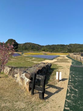 淡路ファームパーク イングランドの丘に投稿された画像（2025/4/7）