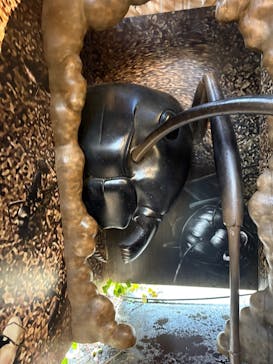 モビリティリゾートもてぎに投稿された画像（2025/4/7）