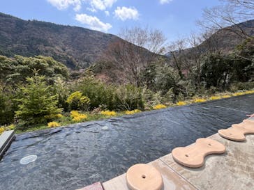 彫刻の森美術館に投稿された画像（2025/4/7）