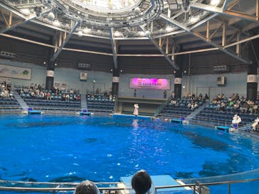 マクセル アクアパーク品川に投稿された画像（2025/4/7）