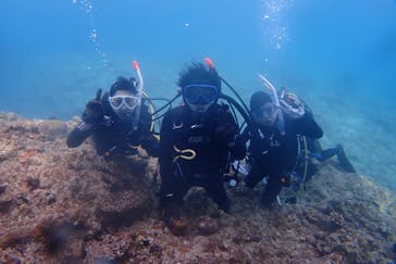 FLOWFISHに投稿された画像（2025/4/4）