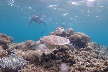 FLOWFISHに投稿された画像（2025/4/4）