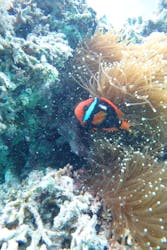 FLOWFISHに投稿された画像（2025/4/4）