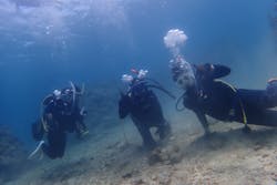 FLOWFISHに投稿された画像（2025/4/4）