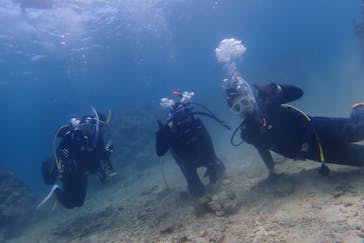 FLOWFISHに投稿された画像（2025/4/4）