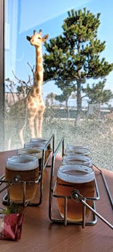 SPA専 太平のゆに投稿された画像（2025/4/7）