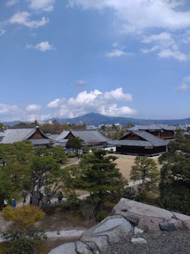 元離宮二条城に投稿された画像（2025/4/7）