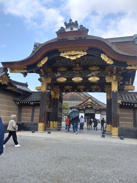 元離宮二条城に投稿された画像（2025/4/7）