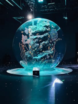 AQUARIUM × ART　atoaに投稿された画像（2025/4/7）