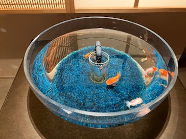 AQUARIUM × ART　atoaに投稿された画像（2025/4/7）