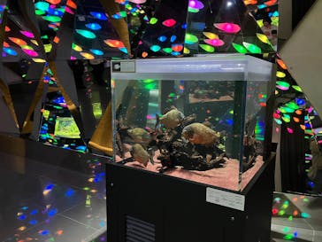 AQUARIUM × ART　atoaに投稿された画像（2025/4/7）