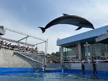 大分マリーンパレス水族館 「うみたまご」に投稿された画像（2025/4/7）