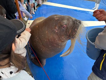 大分マリーンパレス水族館 「うみたまご」に投稿された画像（2025/4/7）