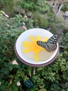 多摩動物公園に投稿された画像（2025/4/7）